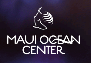 The Maui Ocean Center Stocks the 3D Tunnel Books